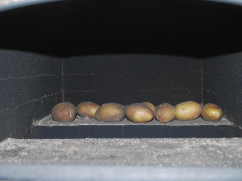 click for large (800x600) image